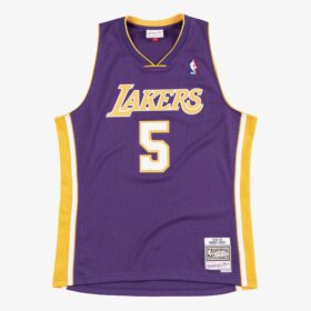 Men's Robert Horry Purple Los Angeles Lakers 1999/00 Hardwood Classics Swingman Player Jersey