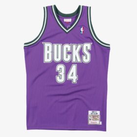 Men's Ray Allen Purple Milwaukee Bucks 2000/01 Jersey