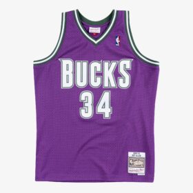 Men's Ray Allen Purple Milwaukee Bucks 2000/01 Hardwood Classics Swingman Player Jersey