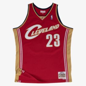 Men's LeBron James Wine Cleveland Cavaliers 2003/04 Hardwood Classics Swingman Player Jersey