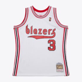 Men's Damon Stoudamire White Portland Trail Blazers 2004/05 Hardwood Classics Swingman Jersey