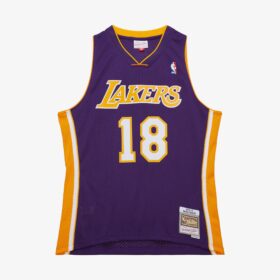 Men's Sasha Vujacic Purple Los Angeles Lakers 2009/10 Swingman Jersey