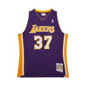 Men's Ron Artest Purple Los Angeles Lakers 2009/10 Swingman Jersey