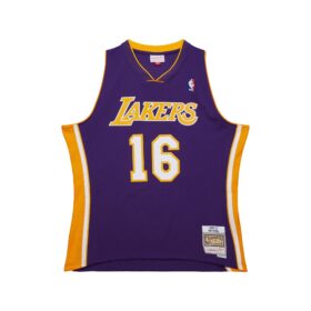 Men's Pau Gasol Purple Los Angeles Lakers 2009/10 Swingman Jersey