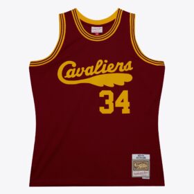 Men's Austin Carr Wine Cleveland Cavaliers 1973/74 Hardwood Classics Swingman Jersey