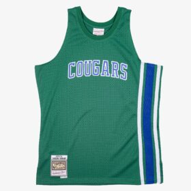 Men's   Green Carolina Cougars 1973/74 Hardwood Classics Swingman Team Jersey