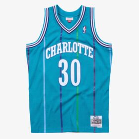 Men's Dell Curry Teal Charlotte Hornets 1992/93 Hardwood Classics Swingman Player Jersey