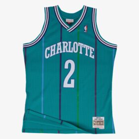 Men's Larry Johnson Teal Charlotte Hornets 1992/93 Hardwood Classics Swingman Player Jersey