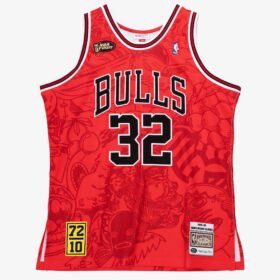 Men's Red 1995/95 Chicago Bulls Hebru Jersey