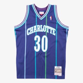 Men's Dell Curry Purple Charlotte Hornets 1994/95 Hardwood Classics Swingman Player Jersey