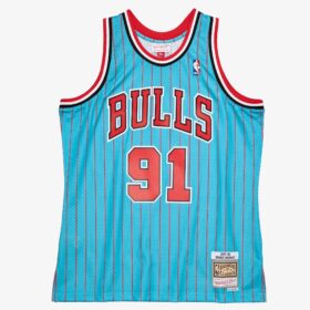 Men's Dennis Rodman Blue Chicago Bulls 1995/96 Hardwood Classics Reload 2.0 Swingman Jersey