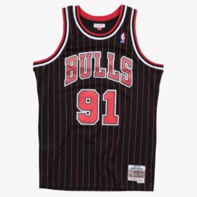 Men's Dennis Rodman Black Chicago Bulls 1995/96 Hardwood Classics Swingman Player Jersey