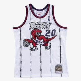 Men's Damon Stoudamire White Toronto Raptors 1995/96 Hardwood Classics Swingman Player Jersey