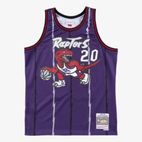 Men's Damon Stoudamire Purple Toronto Raptors 1995/96 Hardwood Classics Swingman Player Jersey