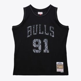 Men's Dennis Rodman Black Chicago Bulls 1995/96 Leather Snakeskin Swingman Jersey