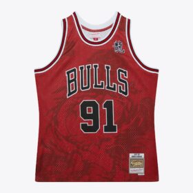 Men's Dennis Rodman Red Chicago Bulls 1997/98 Asian Heritage 6.0 Fashion Swingman Jersey