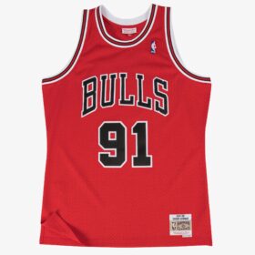 Men's Dennis Rodman Red Chicago Bulls 1997/98 Hardwood Classics Swingman Player Jersey