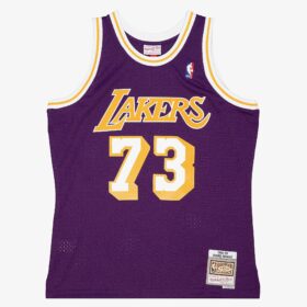 Men's Dennis Rodman Purple Los Angeles Lakers 1998/99 Hardwood Classics Swingman Player Jersey