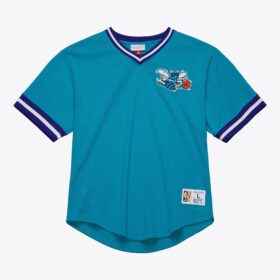 Men's  Teal Charlotte Hornets Mesh Fashion V-Neck Jersey